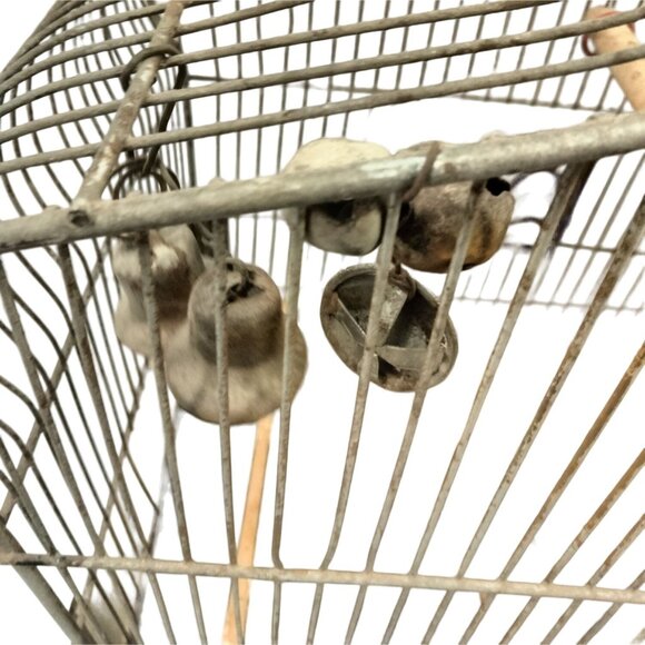 Crown Metal Bird Cage Antique Distressed Shabby Swing Decorative Door - Picture 9 of 13